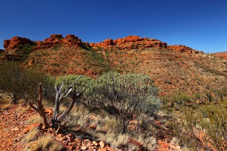 Outback Australia Photos